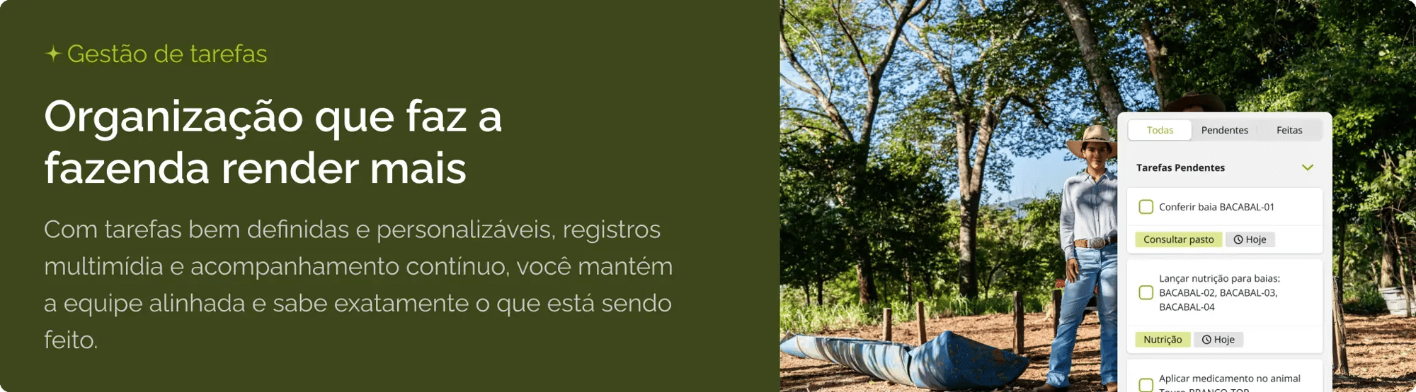 Card de gestão de tarefas