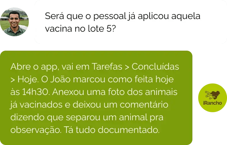 Balão de conversa 2