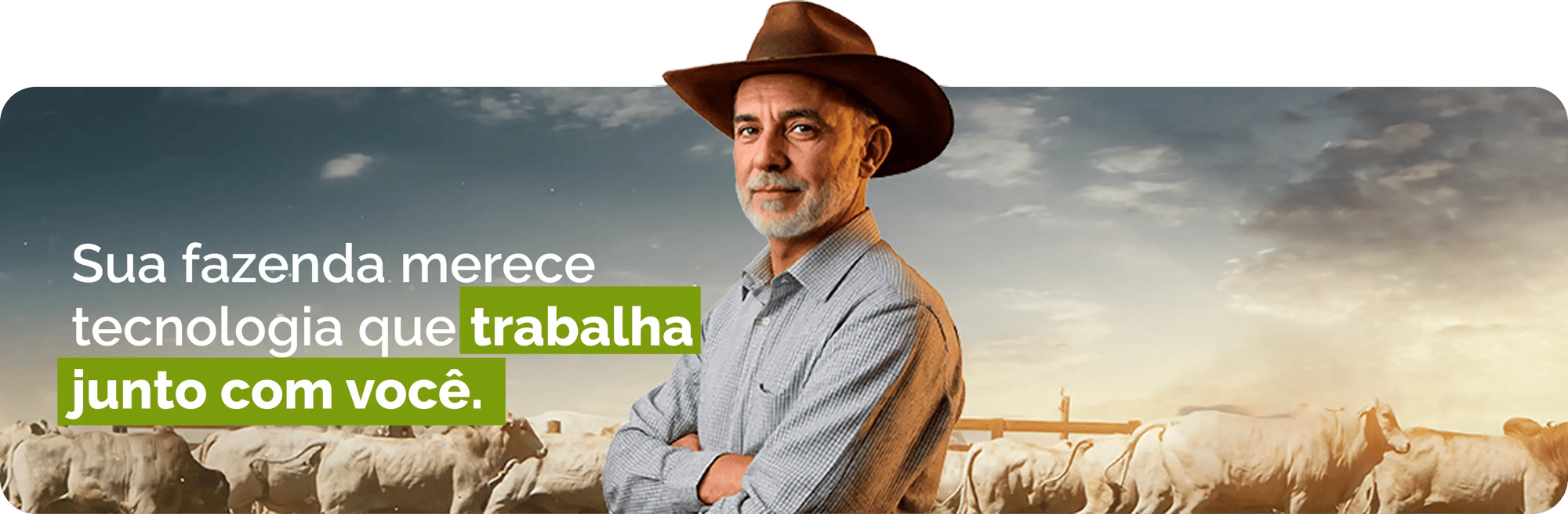 Banner do aplicativo