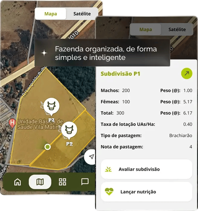 Print do mapa de fazenda