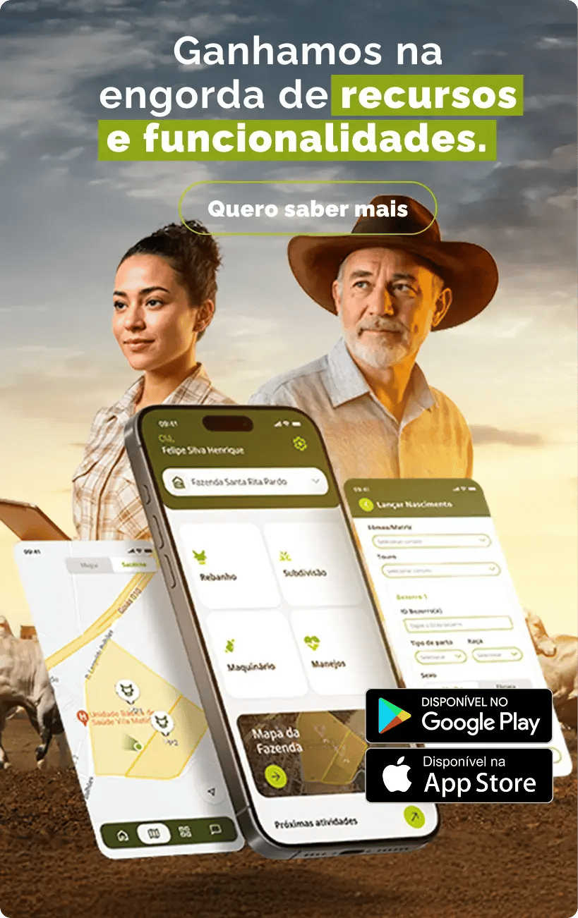 Imagem principal da campanha