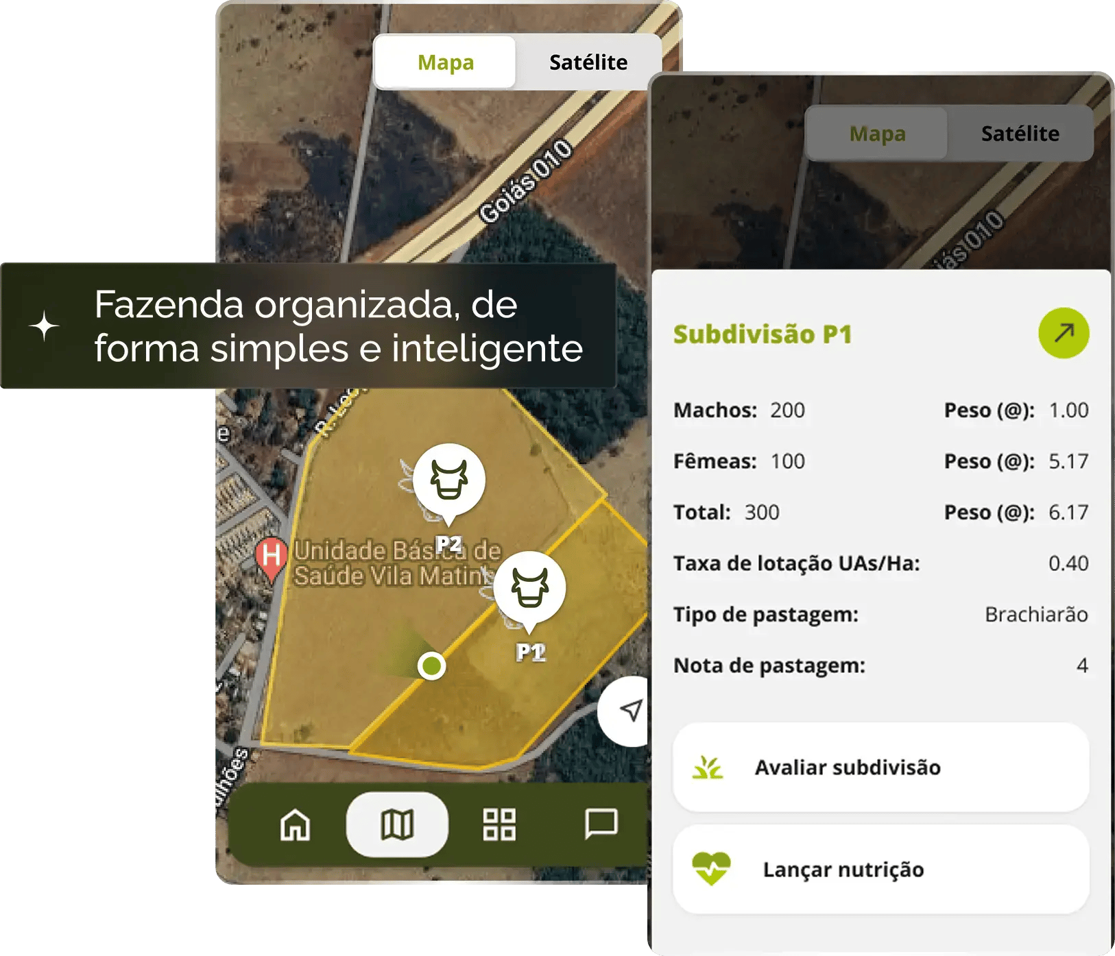 Print do mapa de fazenda