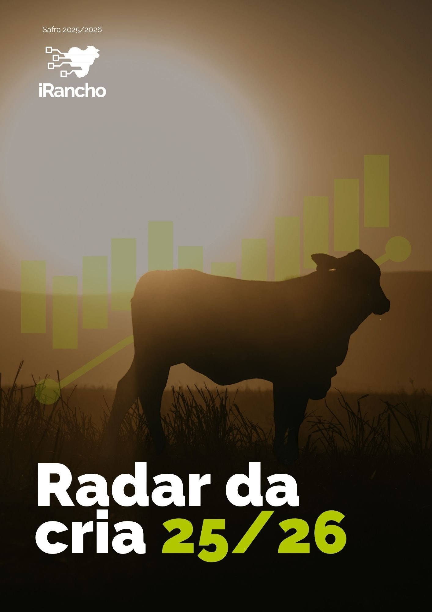 202609_Radar da cria 2526