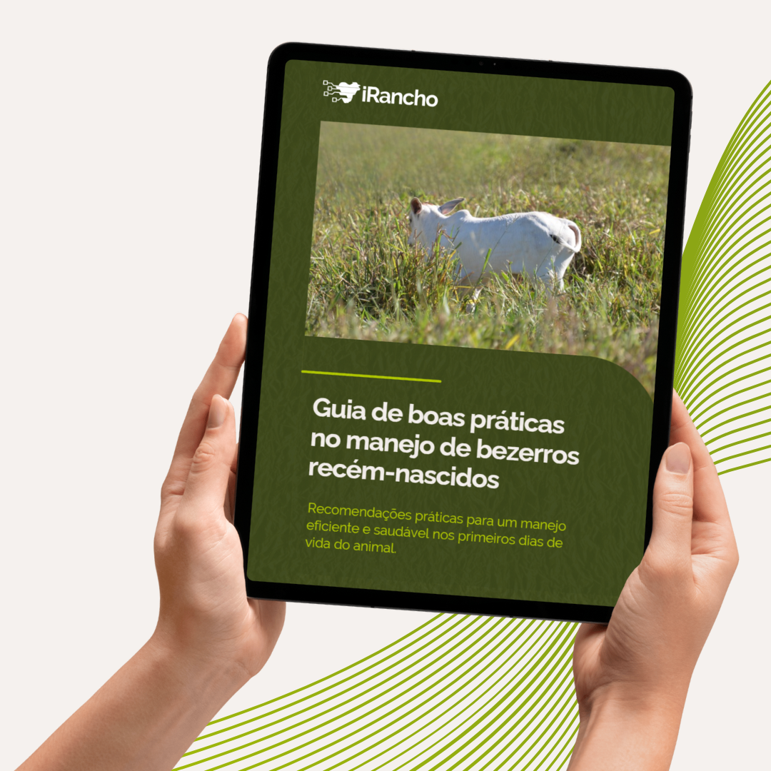 Guia Manejo de Bezerros Guia Manejo de Bezerros